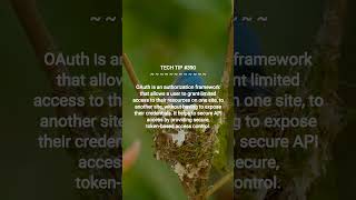 Understanding OAuth for Secure API Access :: 2025-08-02 #shorts #TechTips #dotKey