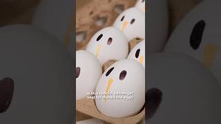 Will JEFFF the egg survive? 🥚🚀 KiwiCo Innovators of Awesome