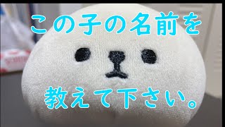 【かわいい謎の生物】この動物の名前を教えてください。