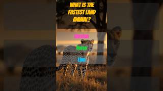 Guss the animal quiz 19 #trivia  #animals #animalfacts#quiz