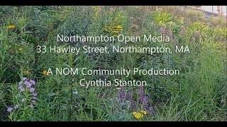 Focus Locus Presents: Cynthia Stanton