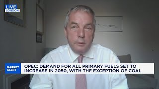 OPEC is 'overly optimistic' on oil demand, efficiency will cap growth: Crystol Energy