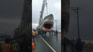 Giant Shark Prop Falls From Crane—Workers Dodge in Panic! 🦈🚨😱 #EngineeringFail #BehindTheScenes