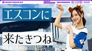【きつねダンス】エスコンフィールドに行った金川の1日に密着！