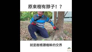 原來樹有脖子？！