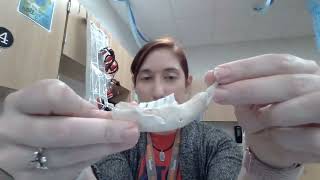 Animal Bites Lesson