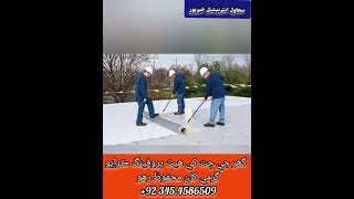 Roof Treatment Chemicals Now Available in Sukkur and Khairpur Mirs