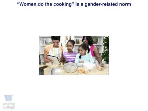 Social Learning Theory & Gender