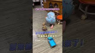 從小成為廟會咖！玩具是XX超級酷