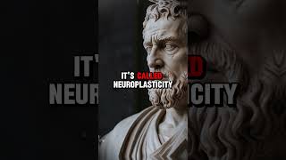 The Power of Habit Aristotle's Perspective lesson 5   #aristotle #stoicism #motivation #habits