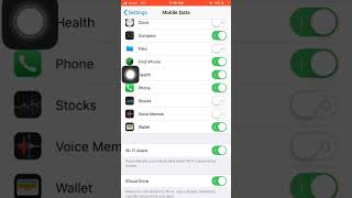 Unlock Hidden iPhone Tricks: Save Data in iPhone Settings!