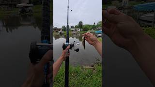 Fishing murky water for BIG fish