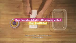 Germinating Paper Towel Method