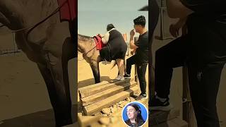 FUNNIEST Dad Moves! 😆 Best Fail Videos 2025 #AFVFAM #Funny #LOL #epic