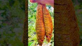 Fish Fry || Yummy fish fry #cooking  #fish  #fishfry #recipe  #shorts