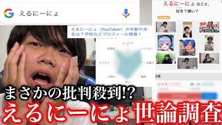 【批判殺到⁉︎】第1回えるにーにょ世論調査