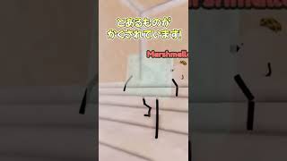 ひみつのおるすばんのトンネルの入り方#roblox #ロブロックス#robloxfyp  #shorts