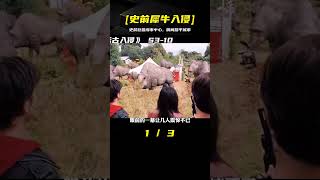 遠古生物入侵，一群史前犀牛穿越現代，瞬間踏平了整座城市 #懸疑 #電影 #科幻電影 #電影解說 #全球詭異時代