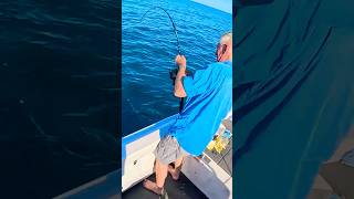 Hooked something LARGE #fishingtownsville #fishing #shorts