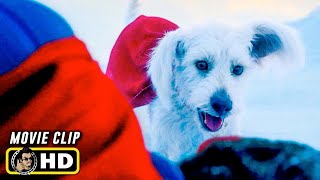 KRYPTO Trailers + Clips! SUPERMAN (2025) DC