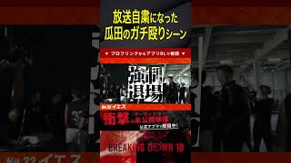 顔面モザイクになる不良が痛々しい【ブレイキングダウン10】 #喧嘩自慢 #100人の不良 #朝倉未来 #瓜田純士 #1000万円