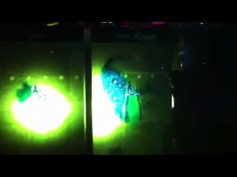 Carlsberg event at OZONE ICC