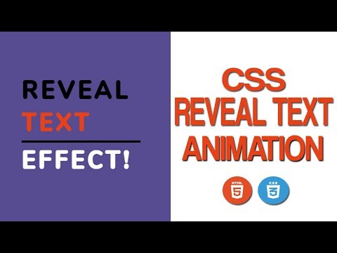 CSS Text Reveal Animation - Text Reveal Effect