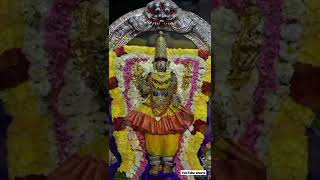 Mylapore shri karpakambal