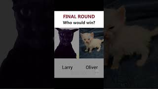 Who would win? FINAL ROUND