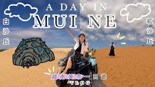 A Day in Mui Ne| 越南美奈超靚小沙漠ATV好刺激~ | 參加越南婚禮Vlog! ft.九樓靚女ssss
