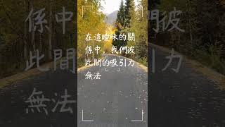 每日一句愛情語錄 浪漫愛情語錄分享 心動的愛情句子 愛的名言 EP 8 #shorts #愛的名言 #浪漫 #感情語錄 #自我治癒