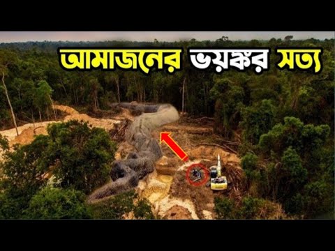 আমাজন জঙ্গলের সবচেয়ে ভয়ঙ্কর রহস্যের প্রমাণ । Proof Of The Mysteries Of The Amazon Forest। Part- IV