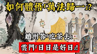 如何體悟「萬法歸一」？趙州答「喫茶去」，雲門「日日是好日」！#佛教 #佛法 #佛教玄學 #佛教智慧 #佛學知識 #佛學智慧 #修心修行 #佛教文化 #禪悟人生 #傳統文化#佛教