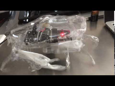 Robot Crab Begins