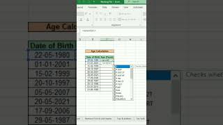 Excel Tricks | Age Calculator Excel Formula #excel #exceltricks #exceltips #expertexcelguru