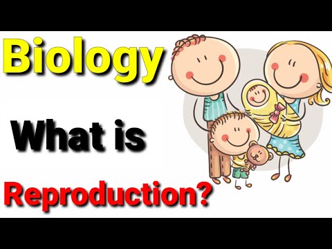 What is Reproduction? Biology || Types of Respiration. # Bio - Diversity Science.