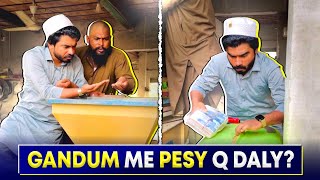 🌾 Gandum Me Paisay Q Chupaye 😱