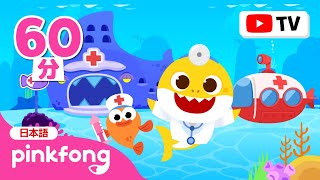【TV】ベイビーシャークのびょういんごっこ🏥動物あつめ | いろんな　どうぶつを　なおして　あげよう！🐥 | お医者さんになってみよう🩺 | ベイビーシャークとピンキッツ