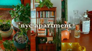 decorating my nyc apartment 🏡 homewares haul, new bookshelf, & plants galore