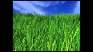 Green DIY Energy