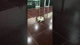 Monocopter IIT KANPUR