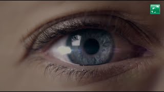 Relive the BNP Paribas' highlights of 2024