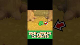 何かいる！！？【あつ森】