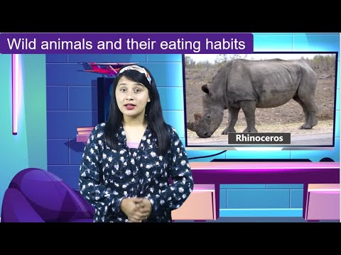 Wild animals and their eating habits, Class 2, Science