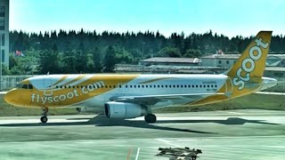 SCOOT REVIEW | Airbus A320 | TR175 Fuzhou to Singapore