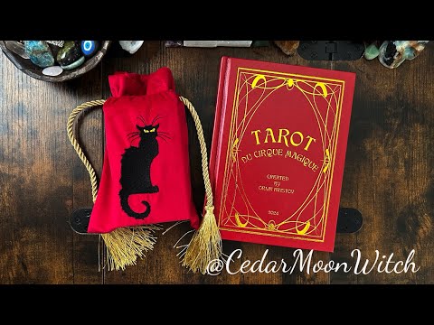 🎪🔮 Tarot du Cirque Magique // Unboxing & Playing w/Pairs! ✨