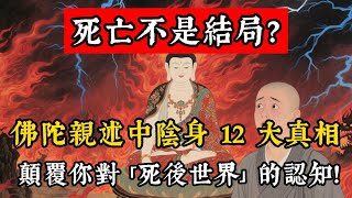 死亡不是結局：佛陀親述中陰身 12 大真相，顛覆你對「死後世界」的認知！#佛學 #佛教 #佛說阿彌陀經 #佛說