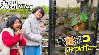 春休み家族旅行で電話猫見つけた！！九州旅行4泊5日Vlog himawari-CH