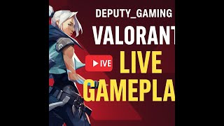 Corporate Employee Back on the Server 💼🎮 | Valorant Live Gameplay