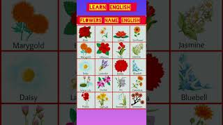Flowers name in English #shorts #trending #youtubeshorts #education #letslearn